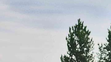 Los autos usados son siempre una buena opción.