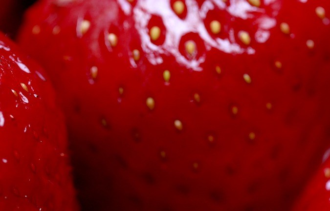 Fresas