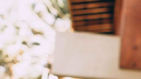 Cada signo tiene su propia manera de socializar.