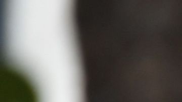 FBI imagen de archivo.