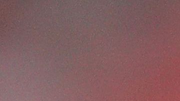 El piloto mexicano habló del tema de adeudos de los 'Tuburones Rojos'.