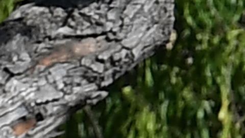 Escuelas cerradas por coronavirus