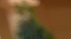 GOYA donación alimentos COVID-19 coronavirus mascarillas