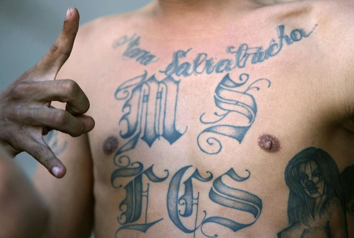 Some leaders and henchmen of the MS13 captured in El Salvador