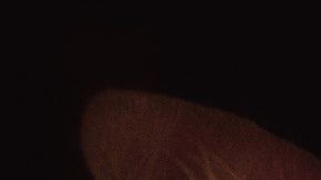 Los gatos en lo sueños tienen significados contrastantes.