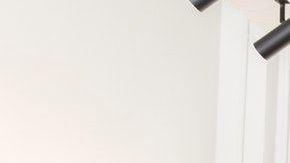 Hay signos que son líderes naturales.