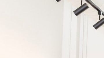 Hay signos que son líderes naturales.