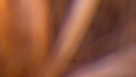 Recomiendan lavar el rostro, mínimo 2 veces al día.