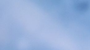 Harry Styles durante la premier de "Dunkirk" en NY