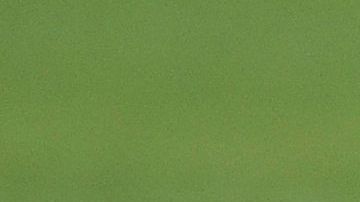 hulk brasil transformacion fisica