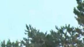 Un parque infantil del área residencial fue la escena del crimen.