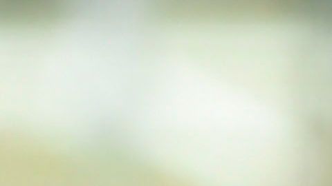 Juan Carlos Osorio se reunió con Rafa Márquez en Guadalajara