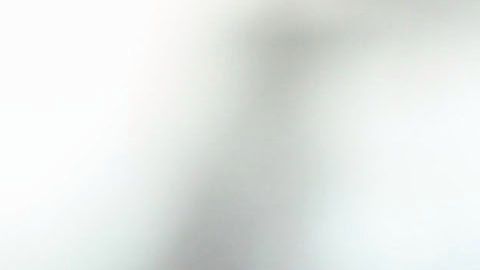 Diego Armando Maradona dirigió a los Dorados de Sinaloa.