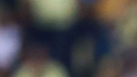 Fue campeón con Chivas en el Clausura 2017.