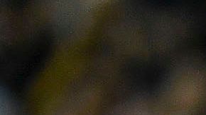 Chivas tuvo que trasladarse vía terrestre.