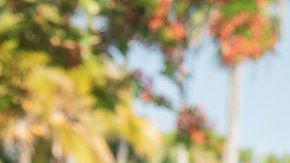 Cala asegura que su programa combinará el periodismo y el entretenimiento positivo.