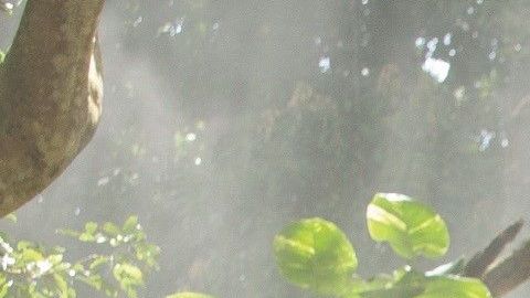 Chris Pratt y Bryce Dallas Howard comprueban los destrozos causados por los dinosaurios en 'Jurassic World'.