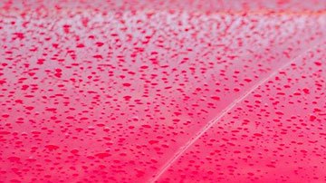 Las acciones de la empresa subieron hasta un 350% después de anunciar que se venderán en EE.UU. (Imagen con fines ilustrativos).