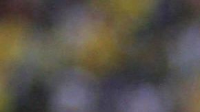 El eterno Iván Kaviedes.