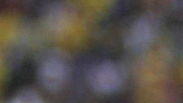 El eterno Iván Kaviedes.