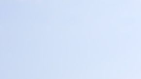 Al pequeño poco le importó sacrificar su vida.