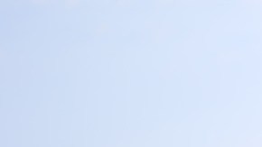 Al pequeño poco le importó sacrificar su vida.