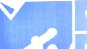 Parece que Kim no tiene miedo al qué dirán.