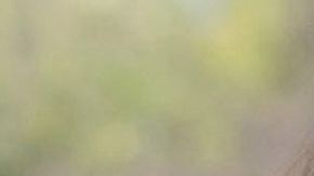 Kim Kardashian y Kanye West