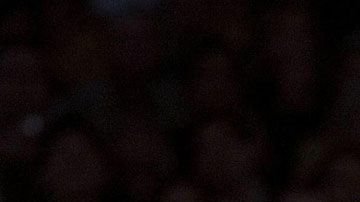 Kobe Bryant y Pau Gasol.