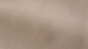 El limón es un excelente protector energético.