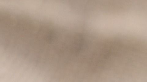 El limón es un excelente protector energético.