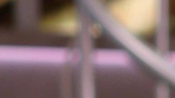 Lili Estefan y Raúl de Molina de "El Gordo y La Flaca".