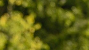 Las mujeres de estos signos son muy cautivadoras.