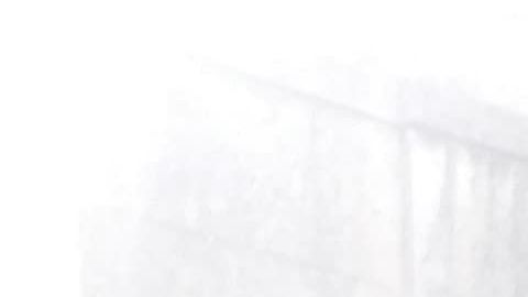 El Mariachi Los Caimanes le cantó "Amor Eterno" a Vanessa.