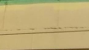 La artista de Houston Donkee Mom y el mural de Vanessa Guillén.