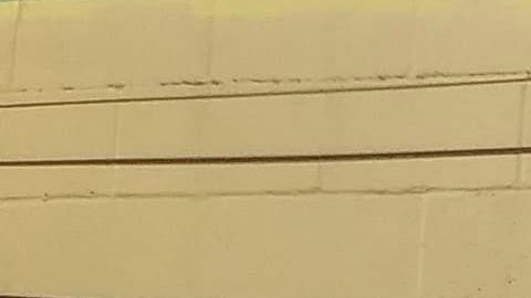 La artista de Houston Donkee Mom y el mural de Vanessa Guillén.