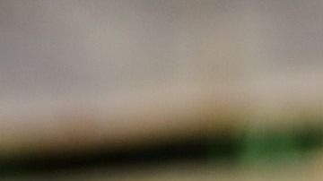 Gunther IV es un perro de raza pastor alemán como el de la fotografía.