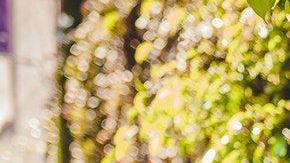 Hay signos que son demasiado cariñosos.