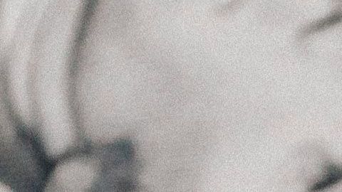 La extensión se pide a través del formulario 4868.