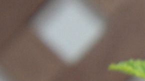 La hierbabuena es usada para la buena suerte.