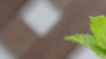 La hierbabuena es usada para la buena suerte.