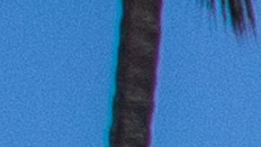 Miuchos piensan ir en busca de la playa este fin de semana en California.