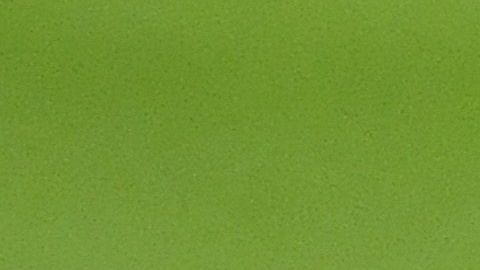 Riqui Puig tiene un gran futuro.