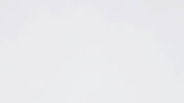 Los datos del reporte se tomaron antes de que surgiera la pandemia del coronavirus.