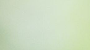 La  candidiasis es una de las enfermedades que se transmiten tras usar la ropa interior o los trajes de baño de otras personas o prestar las prendas de uno.