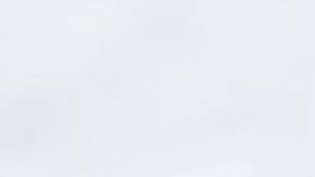 No se sabe si el animal sobrevivió.