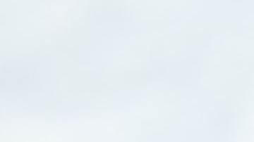 No se sabe si el animal sobrevivió.