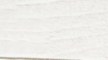 Suplementos de fibra.