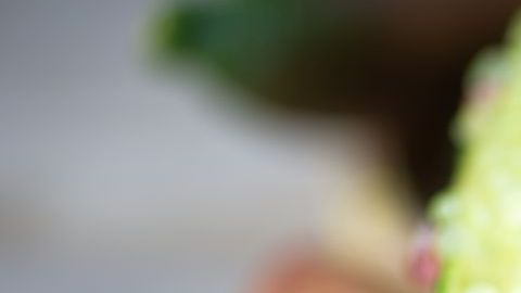 finger lime