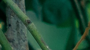 Ambas decidieron no seguir viendo a Ariel.